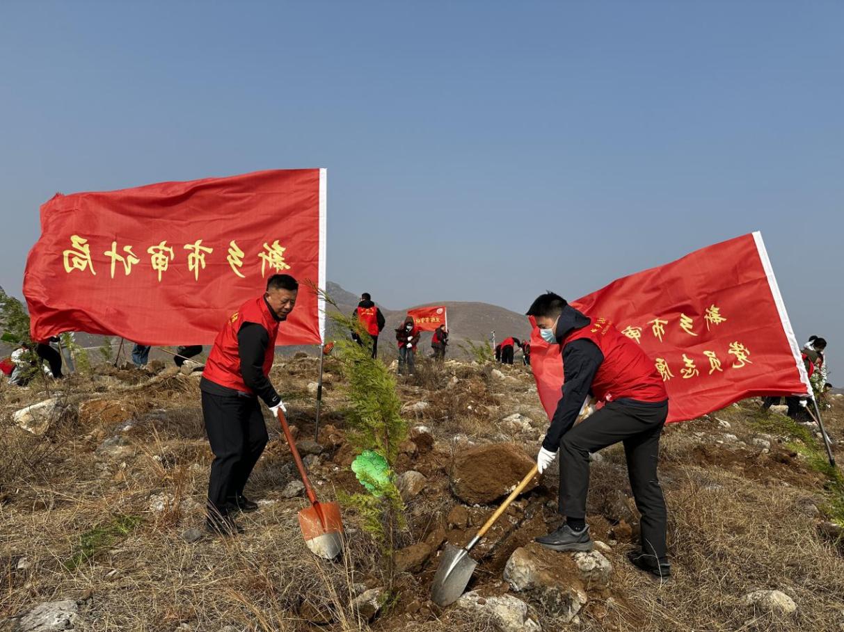 新乡市审计局开展义务植树活动